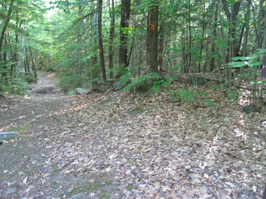 Elwell Trail NH 2010 083.jpg - The Elwell Trail North of Bristol NH, runs along Newfound Lake. The trail goes to Little and Big Sugarloaf mountains. Supposedly it also connects to Mt Cardigan. May 2010.